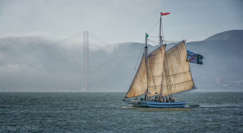 Golden Gate fog is backdrop to a pirate schooner