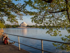 Jefferson Memorial from across the Tidal Basin, golden hour