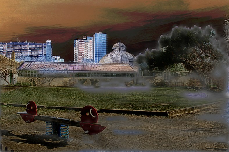 Lynne Ayers, Beyond the Brush Photography