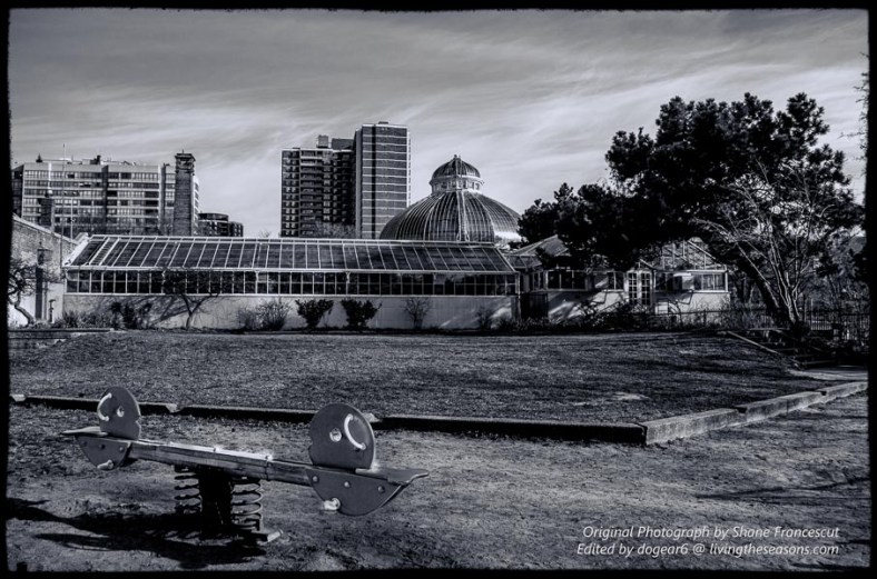 Nancy : dogear6— Living the Seasons