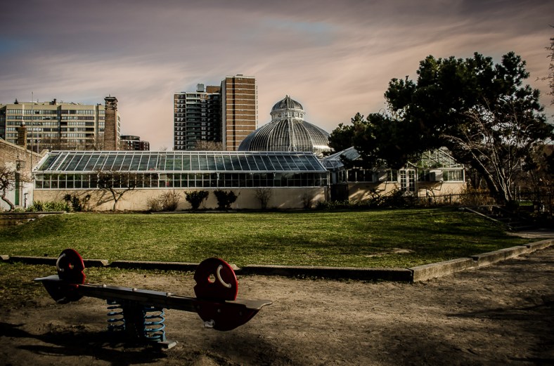 Shane Francescut, The Weekly Minute