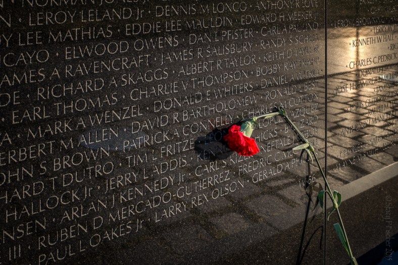 Vietnam Veterans Memorial and a red carnation left in remembrance