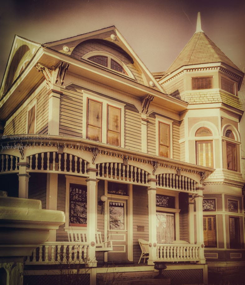 Amy, The World Is a Book