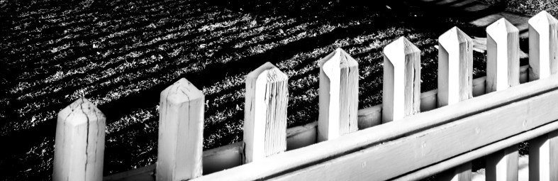 desleyjane, Musings of a Frequent Flying Scientist