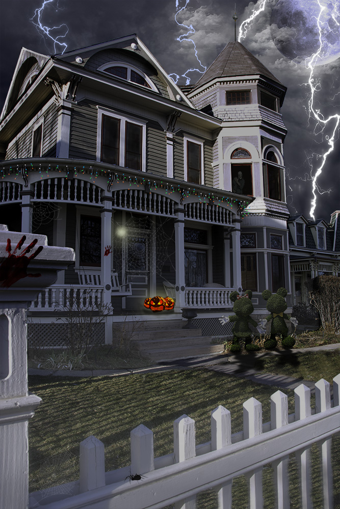 Julie Powell, Julie Powell Photography