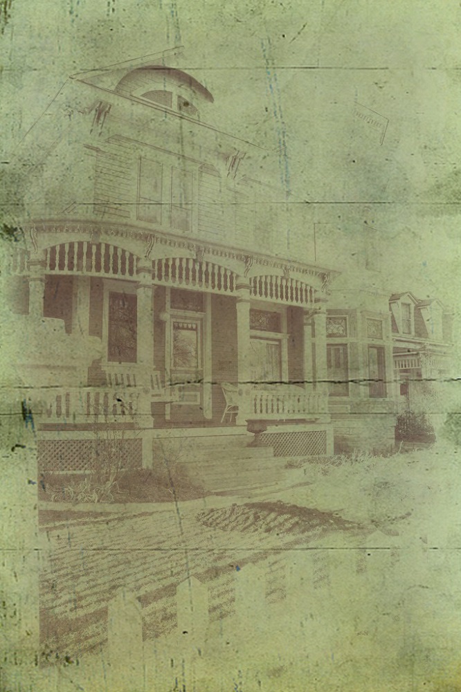 Sheila Z, Offshoots12