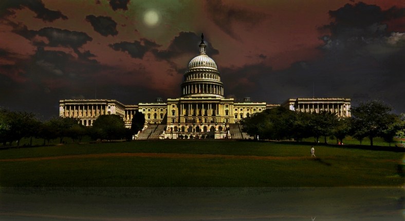 Lynne Ayers, Beyond the Brush Photography