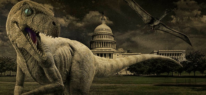 Laura Macky, Laura Macky Photography