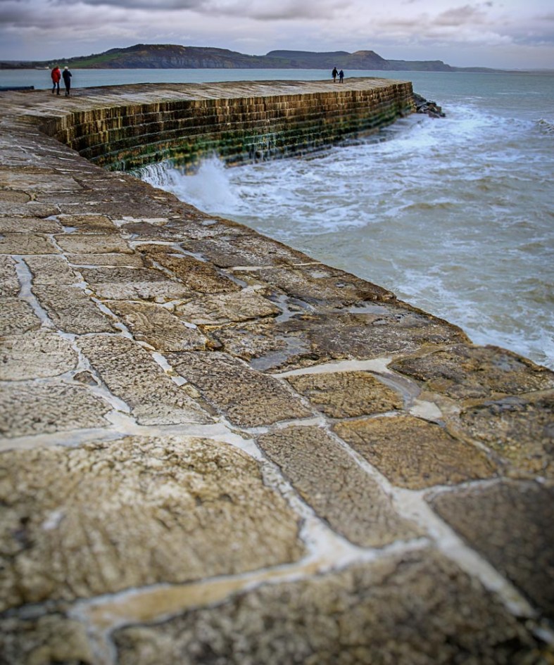 Amy, The World Is a Book