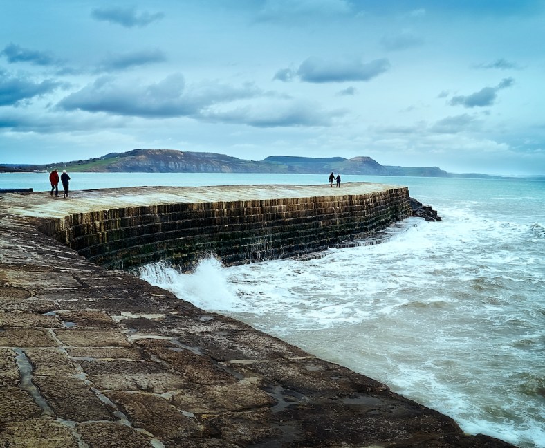 Brenda, A Meditative Journey with Salvage