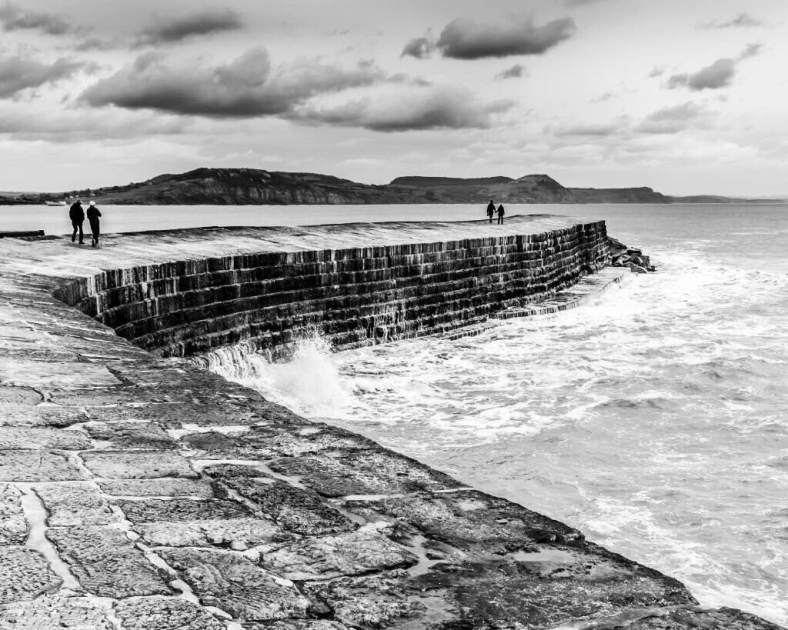 Desleyjane, Musings of a Frequently Flying Scientist