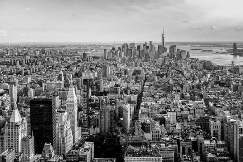 Lower Manhattan viewed from top of the Empire State Building