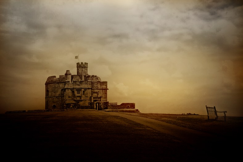 Lynne Ayers, Beyond the Brush Photography