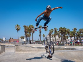 Skateboarder, Venice Beach Skatepark, California