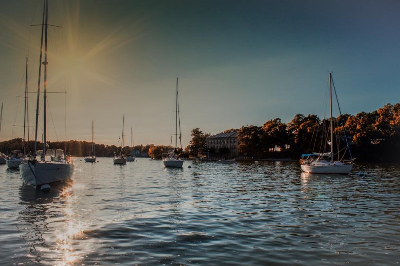 Amy, The World Is a Book