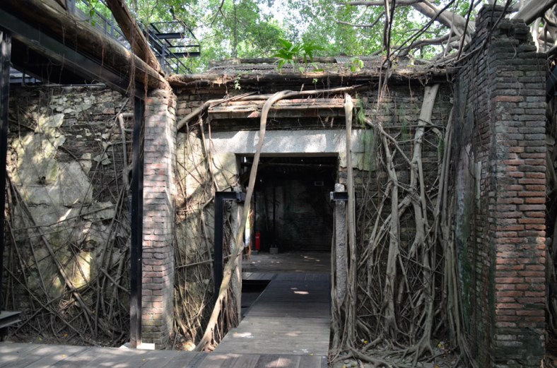 Helen Chen One Photo Focus November