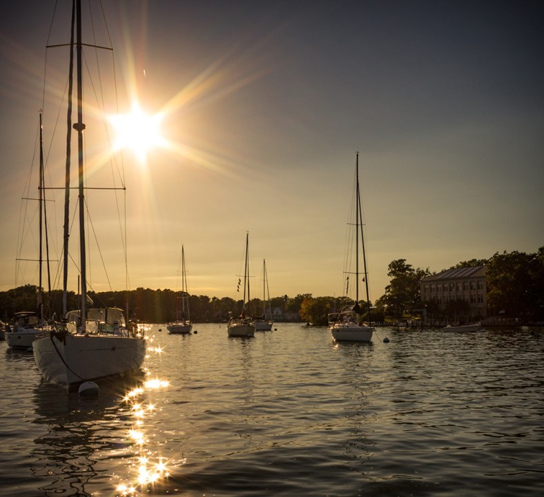 Stacey/Lens Addiction, Learning to See Light