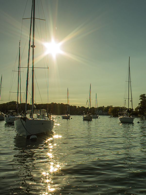 Max510, Max510's Blog