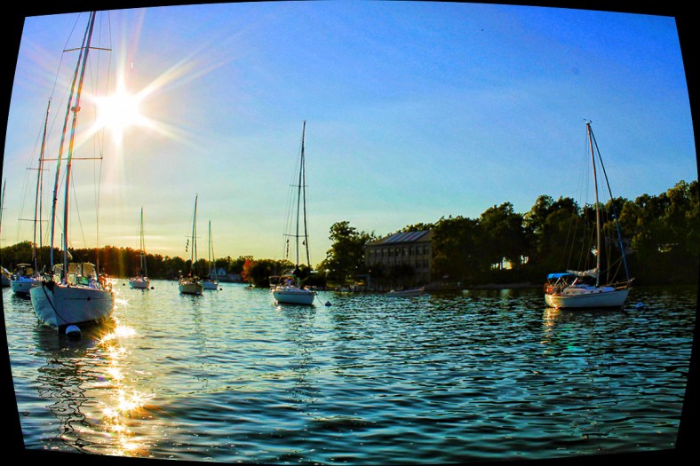 Shannon Hart, Shannon's Creative Work