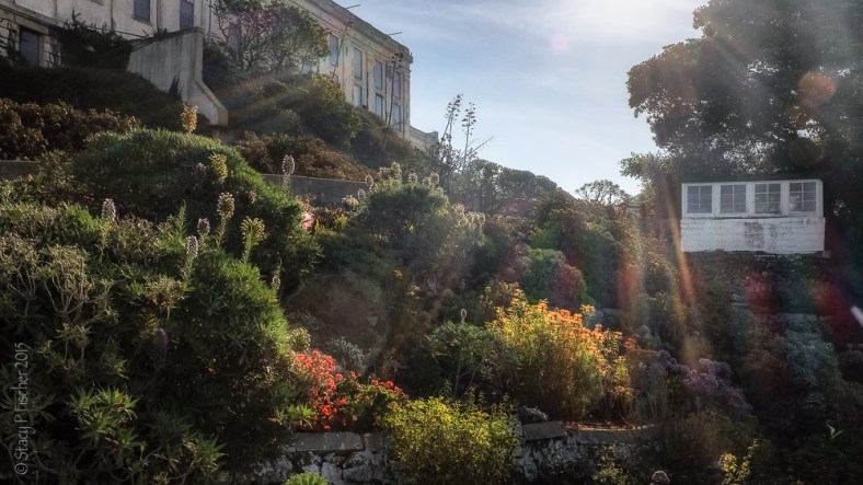 Alcatraz Island West Lawn gardens