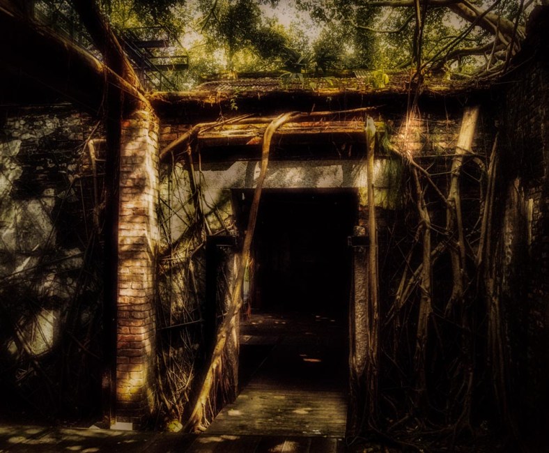 Amy, The World Is a Book