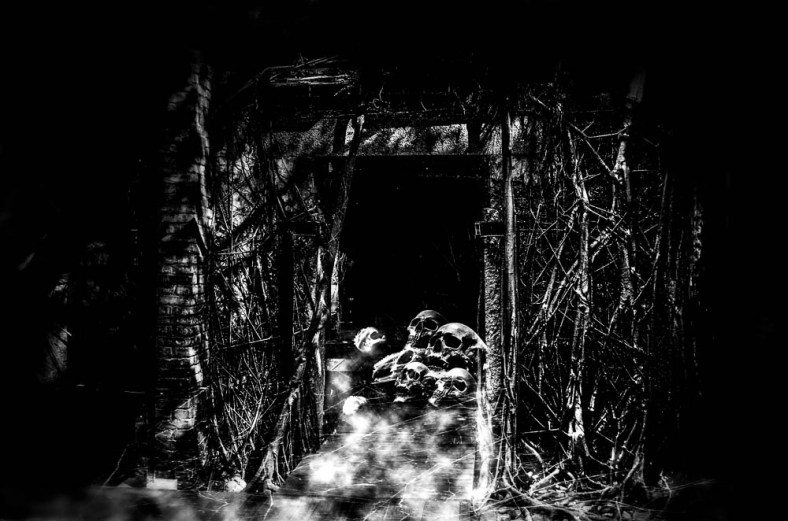 Ashleigh Pienaar, Through the Viewfinder