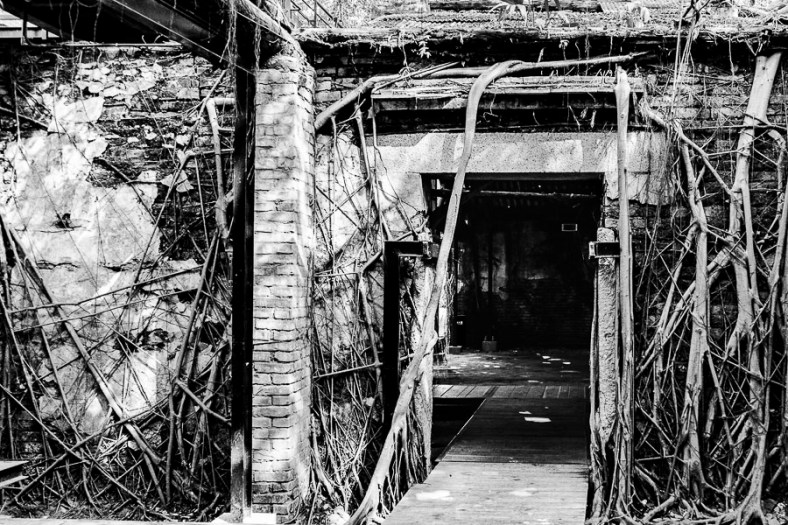 Cee Neuner, Cee's Photography