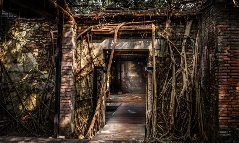 Emilio Pasquale, Photos by Emilio