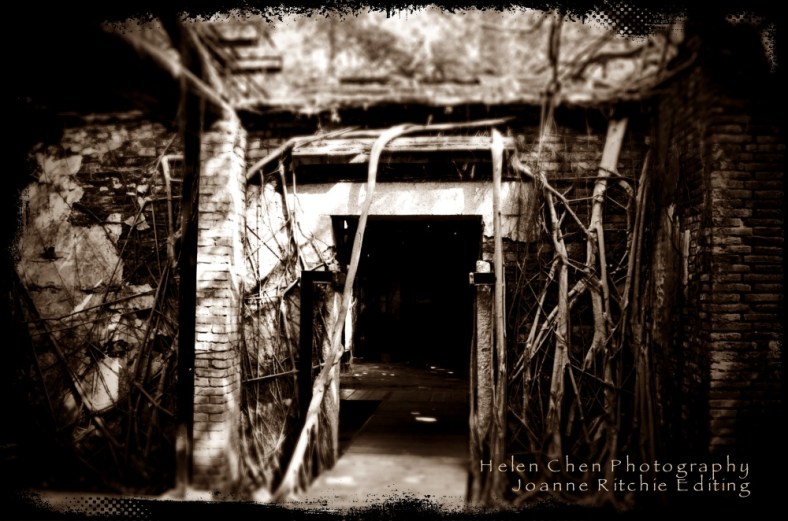 Joanne Ritchie, Coffee Fuels My Photography!