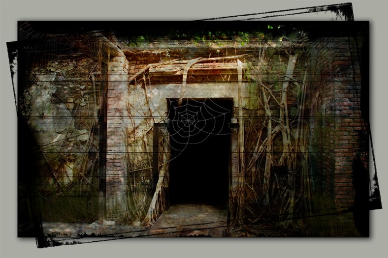 Julie Powell, Julie Powell Photography