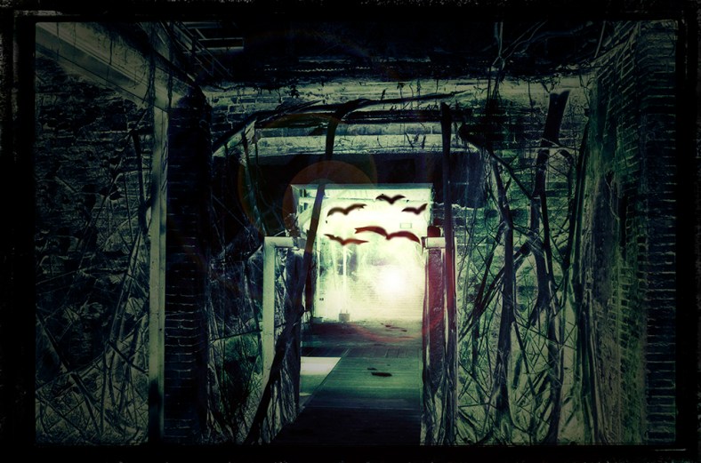 Karen Migliaccio, Karen Migliaccio