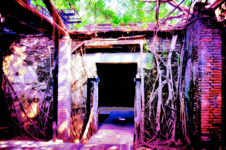 Linda James, Rainy Day Reflections