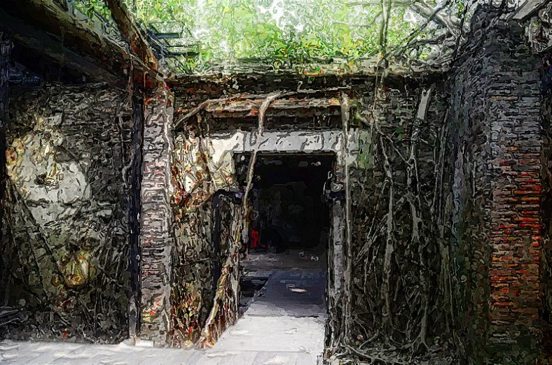 Lynne Ayers, Beyond the Brush Photography