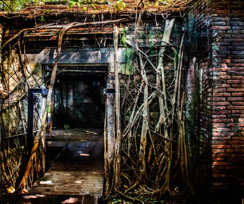 Mary Hone, Tales from the Backroad