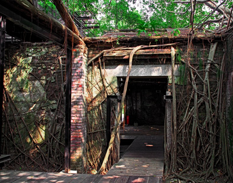 Nic Anderson, Photography by Nic