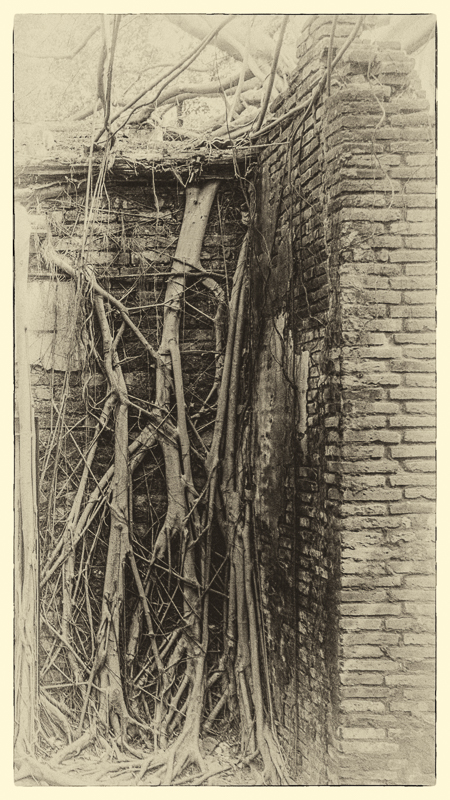 Chris Danger, sv-takeiteasy