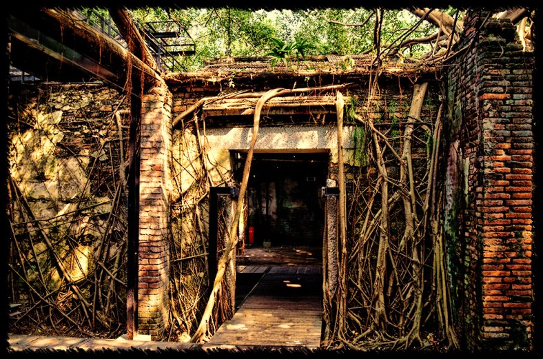 Shannon Hart, Shannon's Creative Work