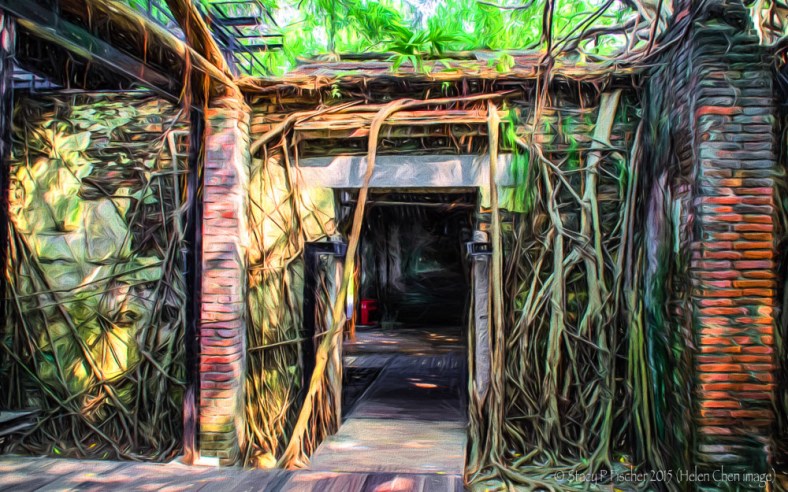 Stacy Fischer, Visual Venturing, One Photo Focus November