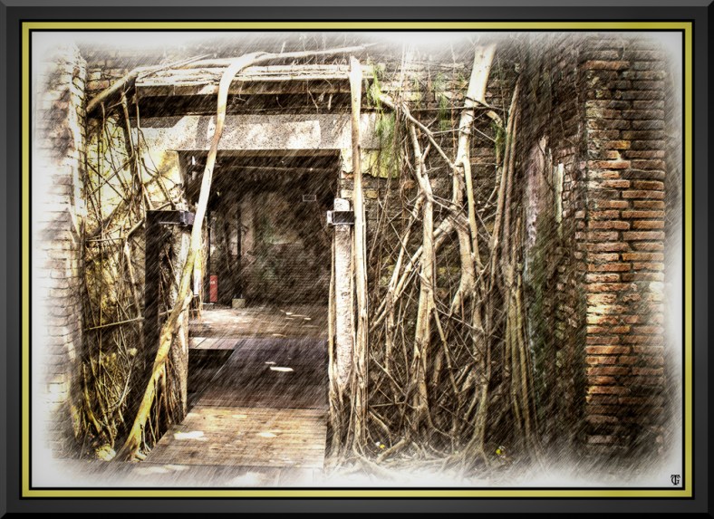 Ted Griffith, Ted Griffith's Photo Art Studio