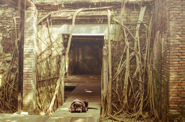 Yan Balczewski, From Hiding to Blogging