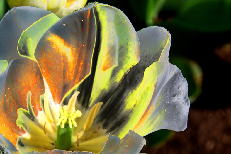 Helen Chen, HHC Blog