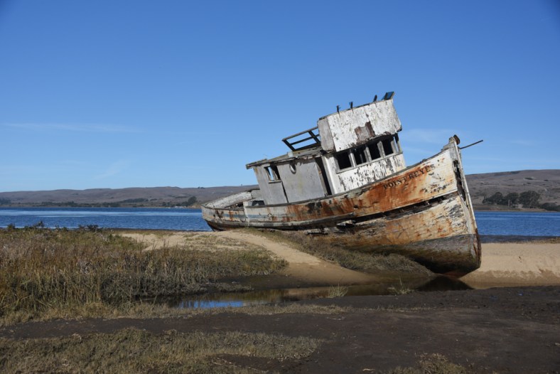 January One Photo Focus