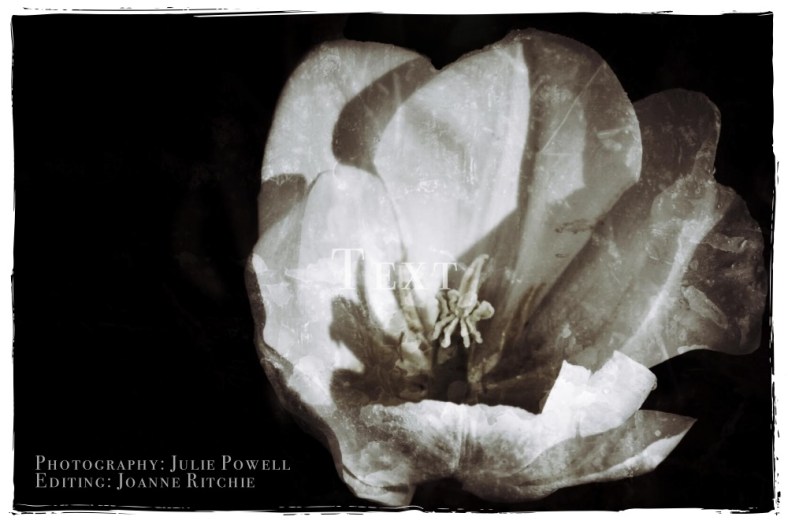 Joanne Ritchie, Coffee Fuels My Photography!