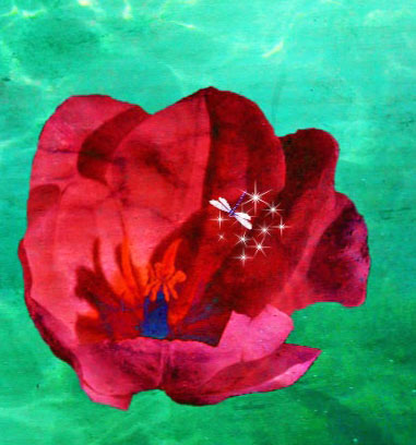 Marie Davies, Syllabubsea