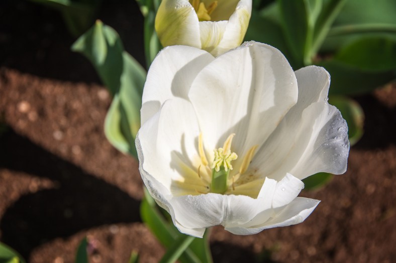 Max510, Max510's Blog