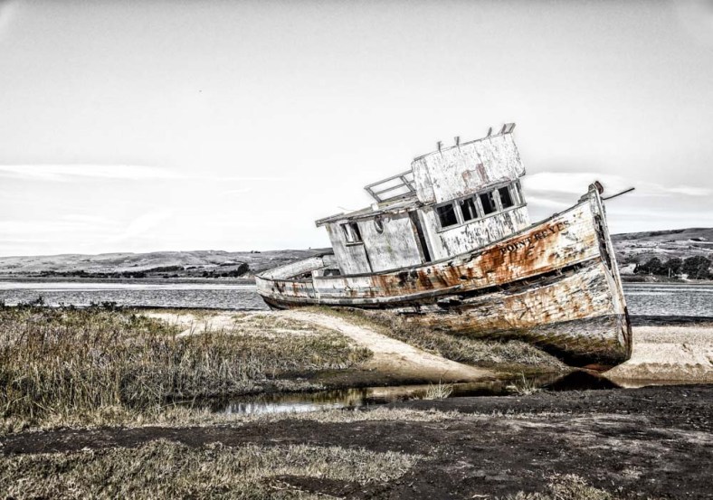 Amy, The World Is a Book