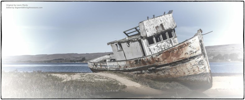 Nancy/dogear6, Living the Seasons