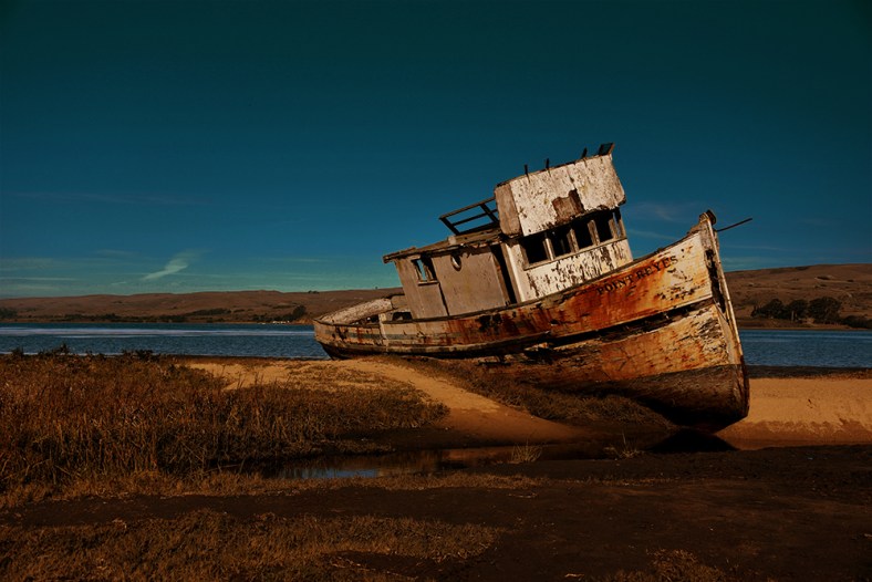 Robin Estargo, Injeenyuhs