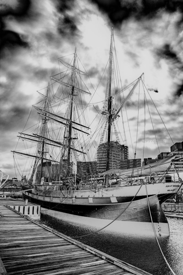 Amy, The World Is a Book