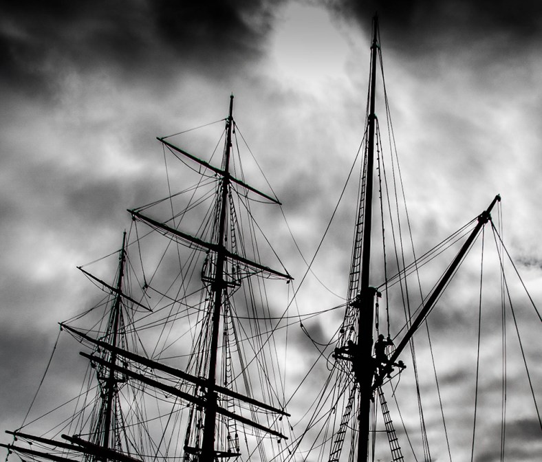 Bryan, theonlyD800inthehameau